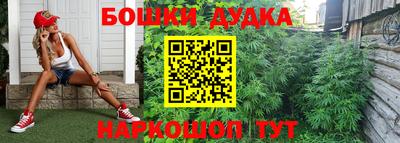 ПСИЛОЦИБИНОВЫЕ ГРИБЫ Можга