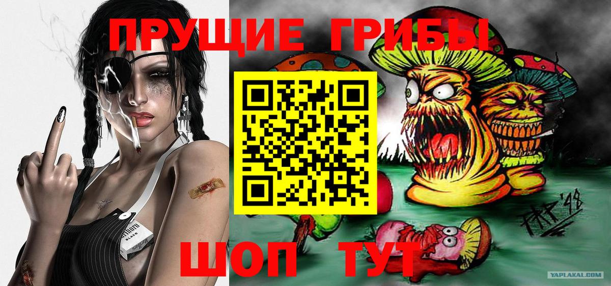 Псилоцибиновые грибы прущие грибы  Вход с VPN  Бугульма 